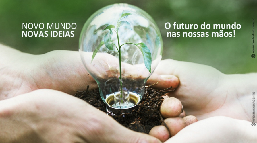 Dia Mundial do Meio Ambiente: um chamado urgente à ação coletiva pelo planeta